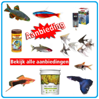 Aanbiedingen97