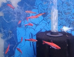 IMG_20250312_104334603_AE